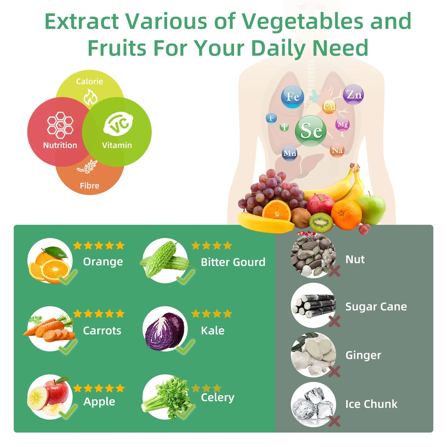 MiniSmoothie ColdPress Pro